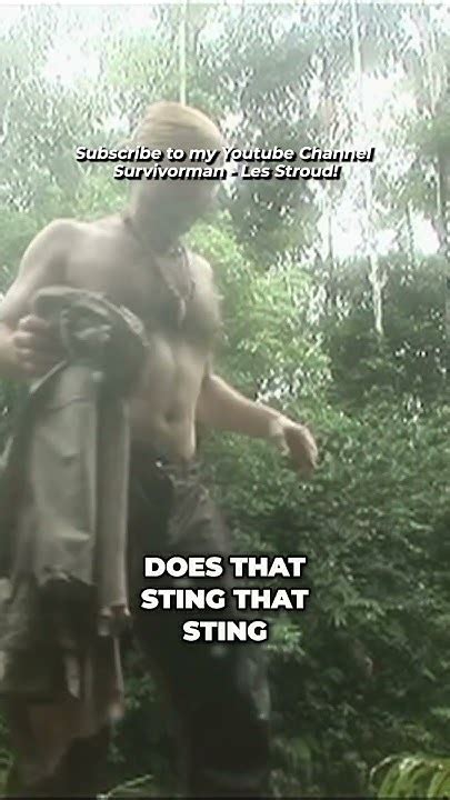 Survivorman Getting Stung In The Jungle Les Stroud Youtube