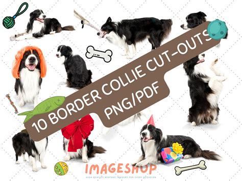 Border Collie Cut-outs Clip Art, Border Collie Png Downloadable Digital Images, Printable Images ...