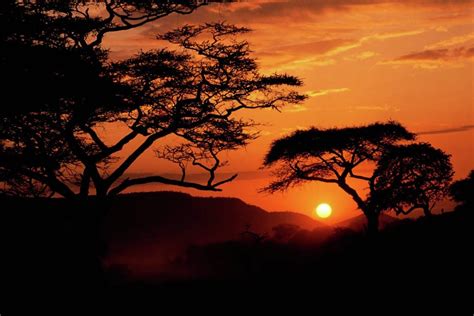 Serengeti National Park Sunset, Tanzania - Free Computer Wallpaper