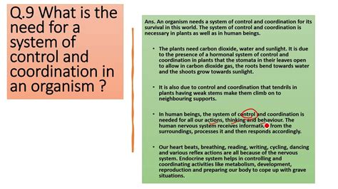 What Is The Need For A System Of Control And Coordination In An