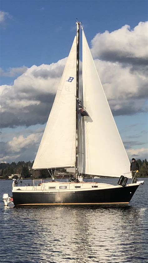 1979 Bayliner Buccaneer 30ft Sailboat For Sale In Newcastle Wa Offerup