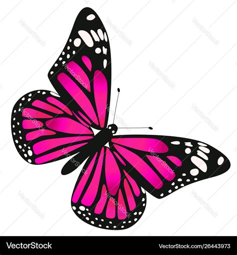 Incredible Collection of Butterfly Coloring Images in Stunning 4K ...