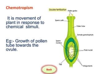 movements  plants pptx