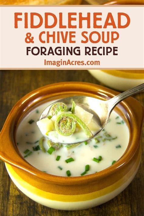 Creamy Foraged Fiddlehead Soup Foraging Recipes Recipes Dewberry