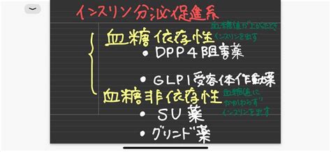 糖尿病の飲み薬についてざっくり解説② 主にインスリン分泌促進系について 動画復習 糖尿病内科医あーこのつれづれブログ