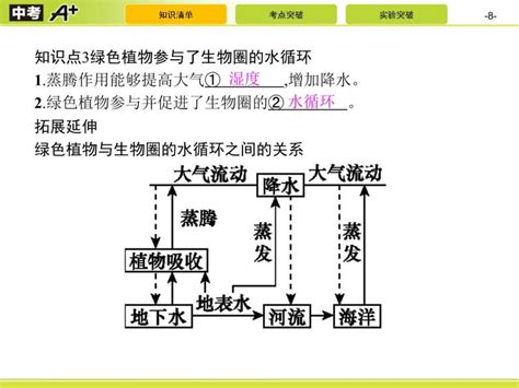 初中生物中考复习 第3讲 绿色植物与生物圈的水循环课件ppt 教习网课件下载