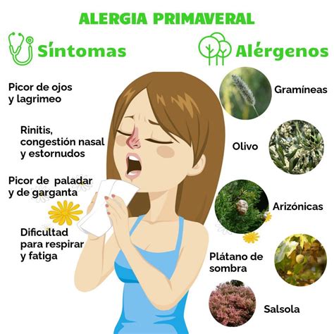 Alergia Primaveral S Ntomas Y Tratamiento