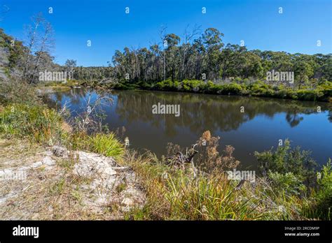 Platypus Pool At Cypress Pine Camping Area Boonoo Boonoo National Park