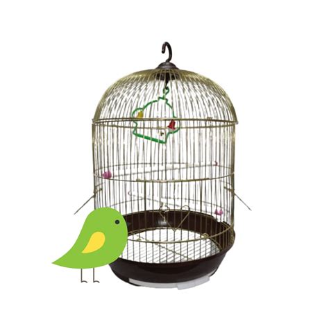 Buy Bird cage for Budgies,Finches,Love Birds,with Cuttlefish Holder,Cuttlefish ,2 Plastic Perch ...