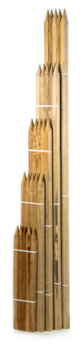 Vegetable Garden Stakes Eaton Brothers