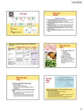 Thieu Men G6 Pd PDF