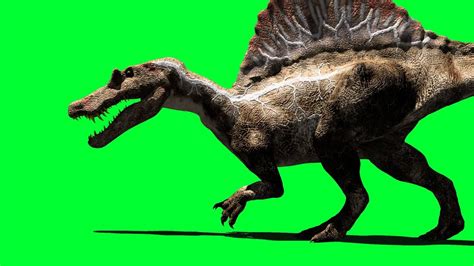 Spinosaurus Walk Bite Roar Animation Blue Screen Youtube