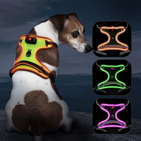 Arn S Iluminado Para Perro Sin Tirones Arn S Led Para Perro Con Asa