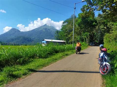 Trawas 3530 Tanah Datar Ada Pohon Durian View Gunung Penanggungan