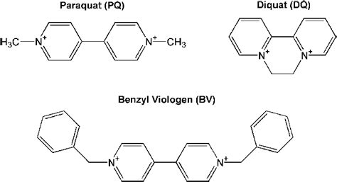 Chemical structures of bipyridyl herbicides: PQ, DQ, and BV. | Download Scientific Diagram