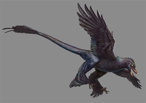 Microraptor Wiki Jurassic World Ru Amino