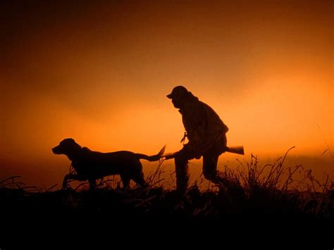 Man and dog silhouette, hunting, silhouette, dog, sunset HD wallpaper ...