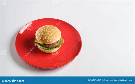 Layered Illusions Photorealistic Hamburgers On A Red Plate Stock