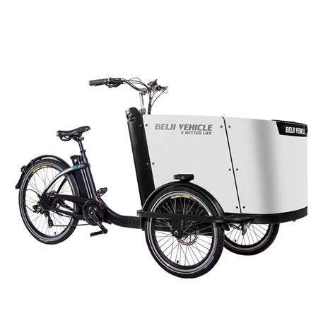 Cargo Bike Three Wheel Electric Cargo Trikes for Carry Child or Grocery Family Use - China Box ...