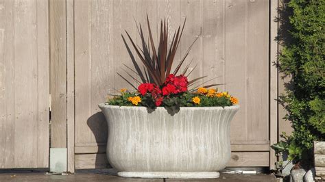 Commercial Outdoor Planters 101 - AV Star News