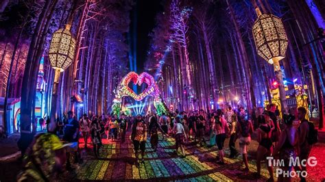 Electric Forest Has Officially Postponed Their Festival Until 2021 ...