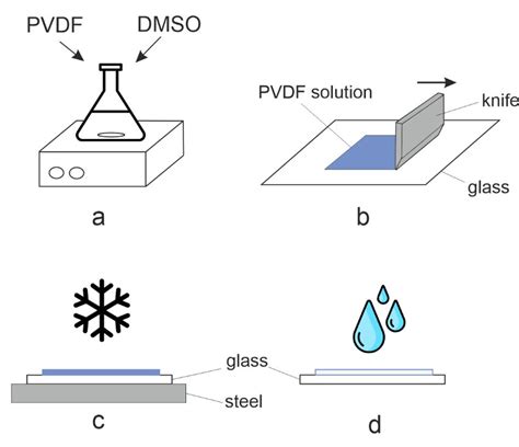 Steps Of Pvdf Membranes Production By Freezing A D Detailed