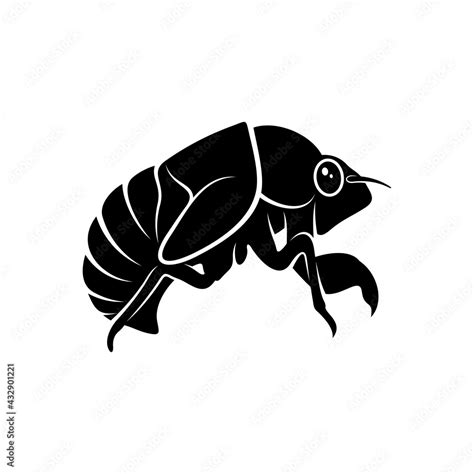 Cicada Design Vector Illustration Creative Cicada Logo Design Concept