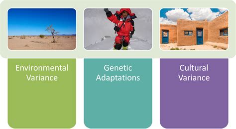 Ecological And Geographic Cultural Variation Culture And Psychology