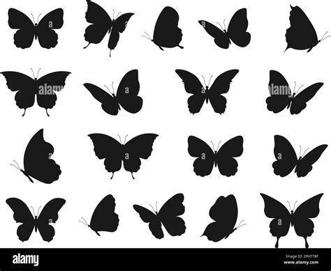 Butterfly Tattoo Silhouettes Butterflies Silhouette Shapes Black