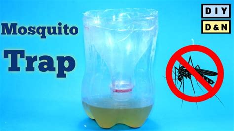 Diy Mosquito Trap To Keep Mosquitoes At Bay