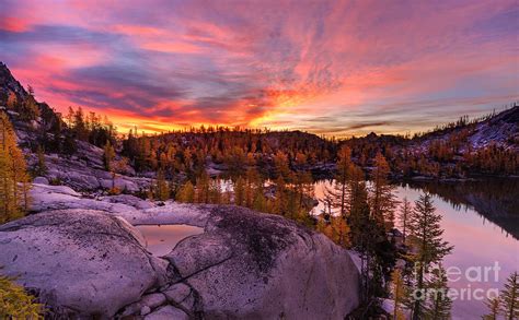 Enchantments Golden Fall Colors Photograph by Mike Reid - Fine Art America