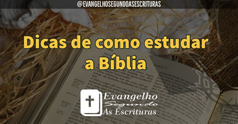 Dicas De Como Estudar A B Blia Evangelho Segundo As Escrituras