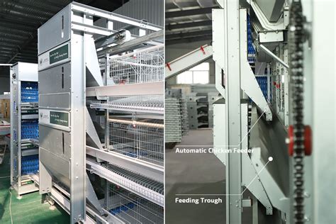 Commercial Automatic Chicken Feeder System For Chicken Farm