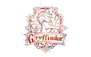 Gryffindor Birthday Cake Ideas Images Pictures