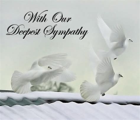 Deepest Sympathy Quotes Loved Ones. QuotesGram