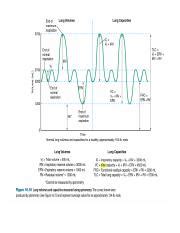 Understanding Normal Lung Volumes and Capacities: A | Course Hero