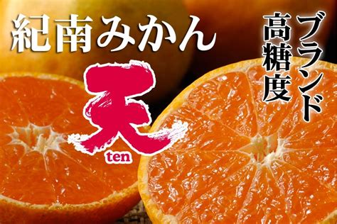 紀南みかん「天」（mサイズ） 5kg Ja紀南【jaタウン】産地直送 通販 お取り寄せ