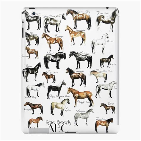 "Rare Horse Breeds ABC " iPad Case & Skin for Sale by VieWoodman ...