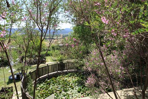 Une Envie De Jardins En Vaucluse L Evasion Des Sens