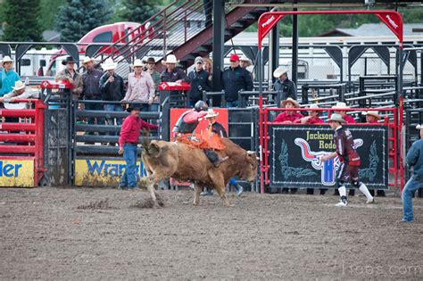 the Jackson Hole Rodeo - 71toes