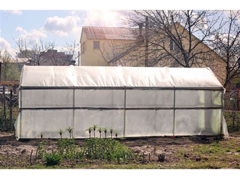 Greenhouse Design: A Comprehensive Guide