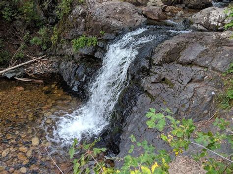 Hike The Picturesque Clear Creek Trail In New Mexico