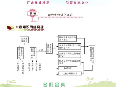 2014届高考生物人教全国通用一轮复习《必修2第7章现代生物进化理论》word文档在线阅读与下载无忧文档