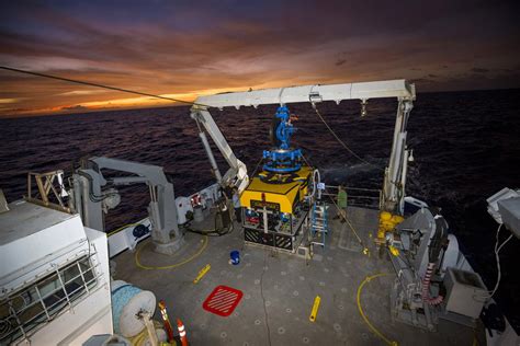 Discovering Deep Sea Corals Of The Phoenix Islands Schmidt Ocean