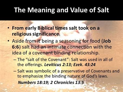 The Life In Christ Salt Of The Earth