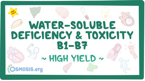 Water Soluble Vitamin Deficiency And Toxicity B1 B7 Pathology Review