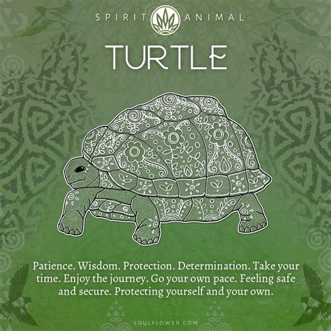 Turtle Symbolism - Turtle Spirit Animal - Soul Flower Blog