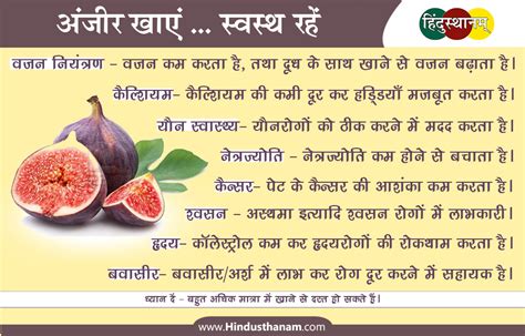 अंजीर के लाभ और विविध रोगों में उपयोग 10 Benefits Of Figs Or Anjeer In Hindi Hindusthanam