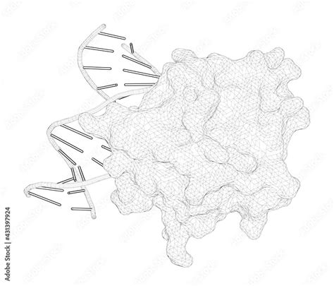 3D Rendering As A Line Drawing Of A Biological Molecule DNA Binding