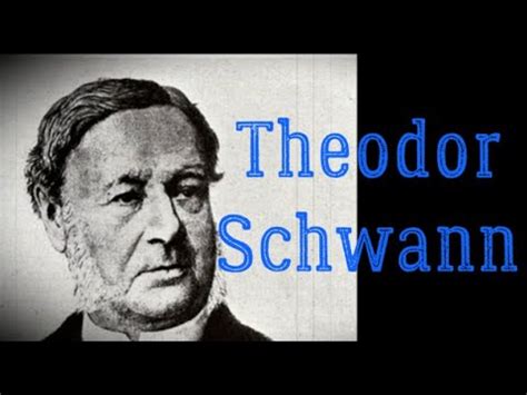 Th Odor Schwann P Re De La Th Orie Cellulaire Biographie Et D Couvertes